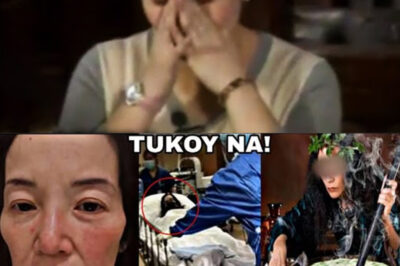 🔥 REVEALED: Kris Aquino’s Online Attacker EXPOSED — Netizens STUNNED by the Unexpected Culprit! (an)