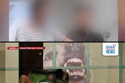 Akala Mo Hindi Delikado: Babaeng Nakagat ng Aso Noong Marso, Pumanaw Dahil sa Rabies — Huwag Balewalain ang Kagat ng Aso!
