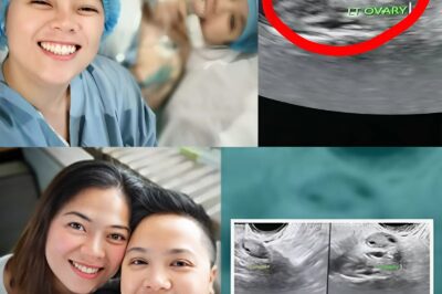 💥 No One Saw This Coming! Ice Seguerra Drops Bombshell About IVF Baby’s Biological Father… (an)