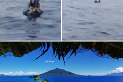 Walang Pamasahe, Walang Bangka—Pero Nakauwi Pa Rin? Lalaki Tinangkang Langoyin ang Dagat Papuntang Maripipi Island Gamit ang Salbabida… Pero Paano Siya Naka-survive?