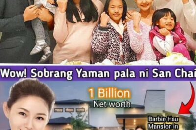🌸 Farewell to a Timeless Icon: Remembering Barbie Hsu — The Woman Behind San Chai, Her Legacy of Grace, Strength, and Stardom Will Never Be Forgotten