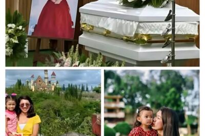 OFW Father Devastated by Daughter’s Death in NAIA Crash—What He Said to the Driver Stunned Everyone