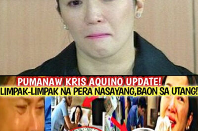 Pumanaw? Kris Aquino Update Shocks Fans – Ex-Boyfriend Breaks Down Upon Learning Her Financial Burden