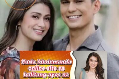 Carla Abellana to Sue Online Site Over Fake News About Reconciliation With Tom Rodriguez (NH)