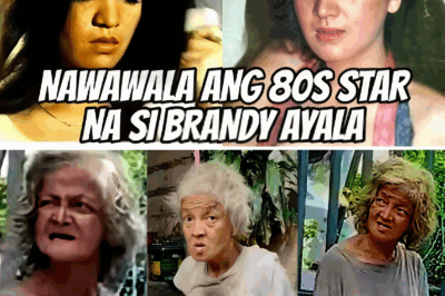 OH NO! FORMER STAR FOUND WANDERING STREETS — WHAT REALLY HAPPENED TO BRANDY AYALA WILL BREAK YOUR HEART!