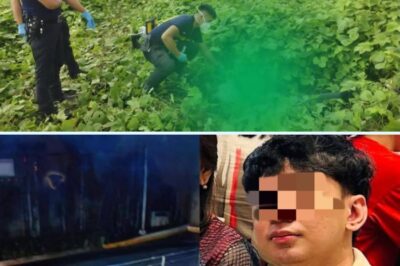 Law Student Vanishes After Taking Grab—Days Later His Lifeless Body Is Found in Cavite. What the Family Wants Now Will Shake You…