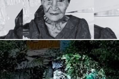 105-Taong Gulang na Lola, Tinapos ng Isang Bangga—Mga Huling Segundo ng Kanyang Buhay, Isinalarawan ng mga Saksi …