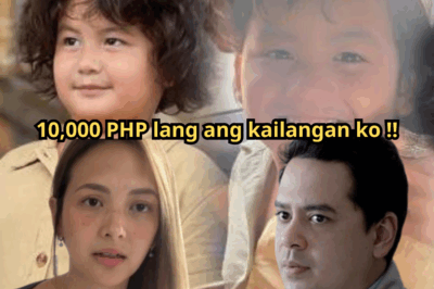 “John Lloyd Cruz, Nagulat sa Desisyon ni Ellen Adarna—Bakit Tinanggihan ang Mas Malaking Suporta para kay Elias?”