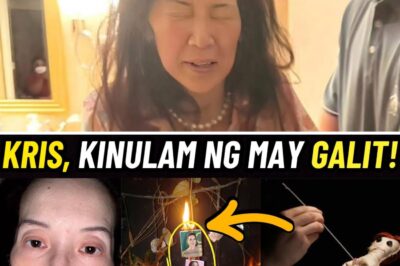 SHOCKING TRUTH: Kris Aquino’s Online Hater UNMASKED — You Won’t Believe Who It Is!