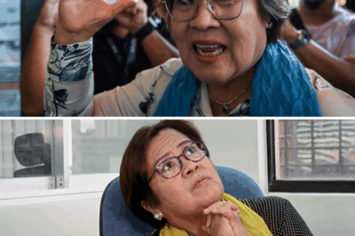 Isang kontrobersiyang video na isinangkot umano si De Lima ang naging mitsa ng matinding reaksyon online, kahit hindi ito napatunayan.