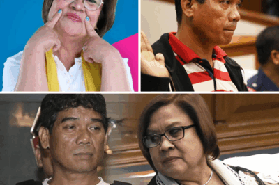 Umamin si Leila de Lima sa kanyang naging malapit na koneksyon kay Ronnie Dayan, na dati niyang kasamahan sa trabaho.