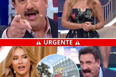 Virgínia Fonseca x Ratinho: o embate que dividiu o SBT e virou símbolo do choque de gerações na TV brasileira