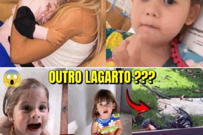O Sustão das Marias: O Lagarto Gigante que Apareceu Dentro de Casa!