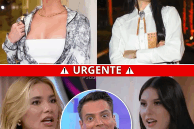 Da Separação ao Escândalo Nacional: A Treta de Virgínia, Ana Castela e Zé Felipe Que Parou o Brasil