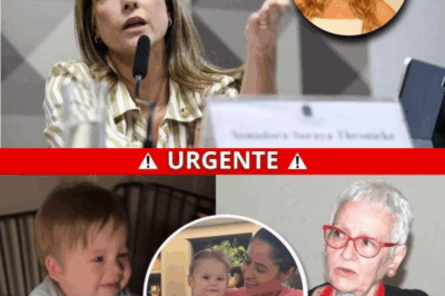 Relatório escolar vazado, desabafo da sogra e silêncio ensurdecedor: o escândalo que abala Virgínia Fonseca pode ter ido longe demais