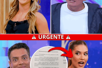 Escândalo sem fim: documentos secretos, áudios explosivos e uma guerra bilionária expõem os bastidores de Virgínia Fonseca