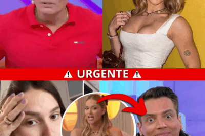 Ao Vivo, Com Coração Partido e Câmeras Ligadas: Virgínia Enfrenta a Verdade que Tentaram Esconder