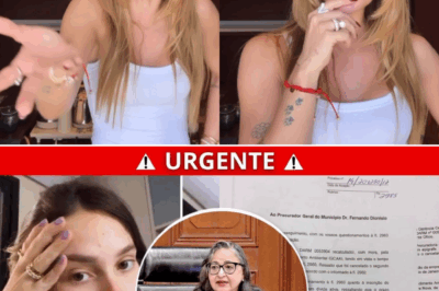 Vazamento de documentos abala império de Virgínia Fonseca: suspeitas, dívidas e risco de intervenção judicial