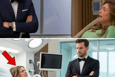 Abandonada no Hospital Após Parto de Emergência, Mulher Encontra Amor e Esperança Onde Menos Esperava