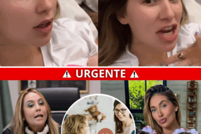 Mentira Viral Sobre Virgínia Fonseca Vira Crise Nacional e Abala Sua Família e Carreira