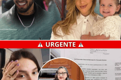 Escândalo patrimonial de Virgínia Fonseca: documentos vazados, bloqueio milionário e o risco de intervenção judicial