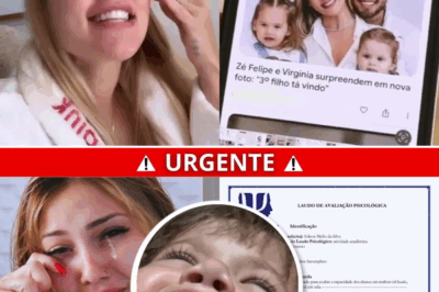 O Impacto Devastador das Fake News na Vida de Virgínia Fonseca e sua Família: Verdades, Boatos e a Luta Contra a Desinformação