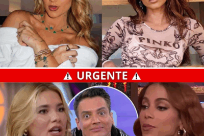 Anitta x Virgínia: A Guerra Silenciosa Que Virou Tempestade nas Redes e nos Bastidores