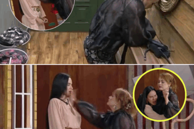 Gaby Spanic é expulsa de A Fazenda 17 após agressão: clima tenso, regras quebradas e reação explosiva do público