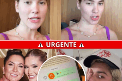 “Melhor se afastar de vez”: o áudio que incendiou a internet e colocou a família de Virgínia Fonseca sob julgamento público