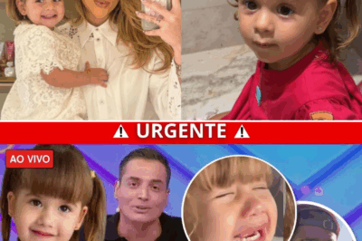 O Desabafo de Maria Alice: Vídeo Emociona o Brasil e Revela o Colapso de uma Família Famosa