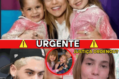Justiça determina retorno imediato dos filhos de Virgínia Fonseca ao Brasil: drama e emoção marcam reencontro