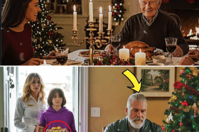 O Natal Que Mudou Tudo: O Bilionário Solitário e a Visita Que Devolveu o Sentido à Sua Vida