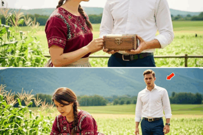 O Retorno ao Campo: Uma História de Perdão, Coragem e Reencontro