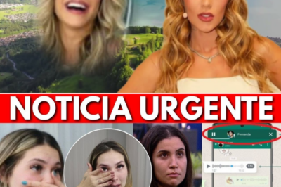 O Áudio que Virou Tempestade: Como um Vazamento Indefinido Colocou a Marca de Virgínia Fonseca no Olho do Furacão