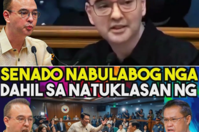 Bilyon-Bilyong Budget, Bilyon-Bilyong Tanong: Matinding Sagutan ng Dalawang Senador sa Senado