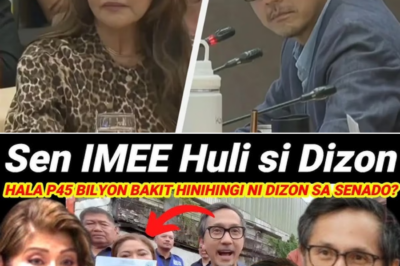 Imee Marcos Hinamon si Vince Dizon sa Budget ng DPWH: Dagdag na ₱45B, Paulit-ulit na Paliwanag, at Matinding Sagutan sa Bicameral