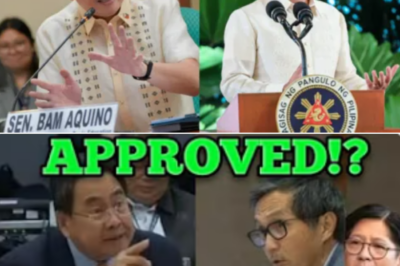 “Trabaho Lang Po”: PBBM at Sec. Vince Dizon Pinuri sa Bicameral Matapos Igiit ang Reporma at Pagbawas sa Overpricing sa DPWH