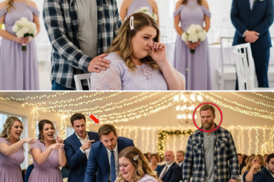 Ela Foi Humilhada em um Casamento por Causa do Corpo, Mas a Atitude de um Desconhecido Silenciou Todos