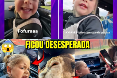 Susto, risadas e um camelo inesperado: o dia em que um safari virou uma aventura inesquecível para a família de Virgínia