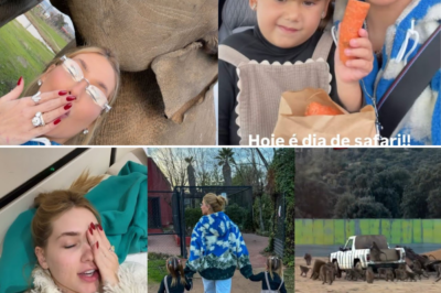 Virgínia enfrenta babuínos, hipopótamos e filas gigantes em um dia inesquecível de safari e compras em Madrid